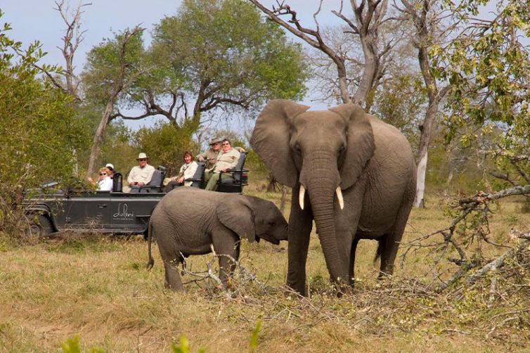 Dulini Moya, Sabi Sands, South Africa Luxury Safari