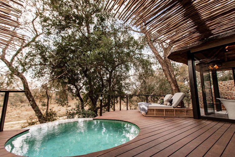 Dulini Moya, Sabi Sands, South Africa Luxury Safari