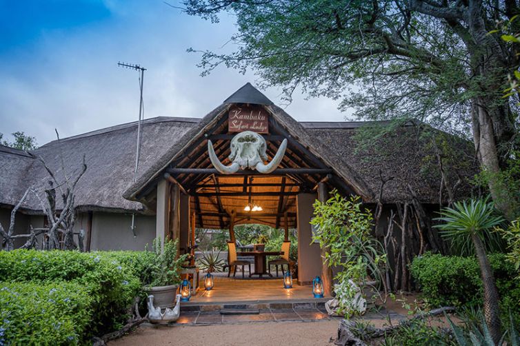 Kambaku Safari Lodge, South Africa Luxury Safari