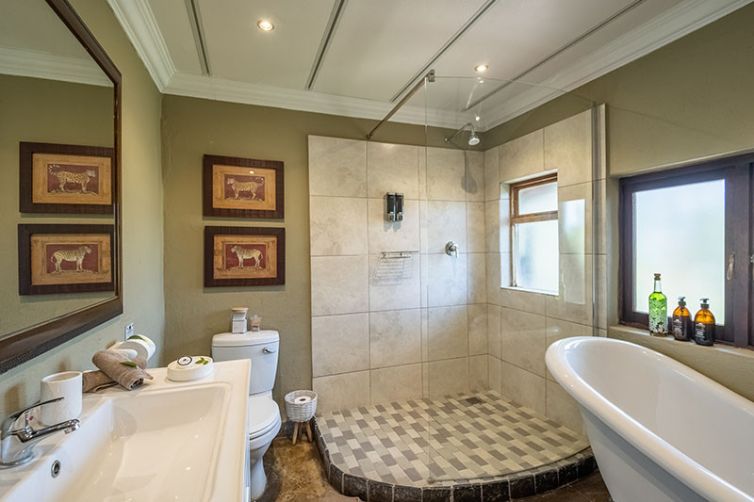 Kambaku Safari Lodge, South Africa Luxury Safari