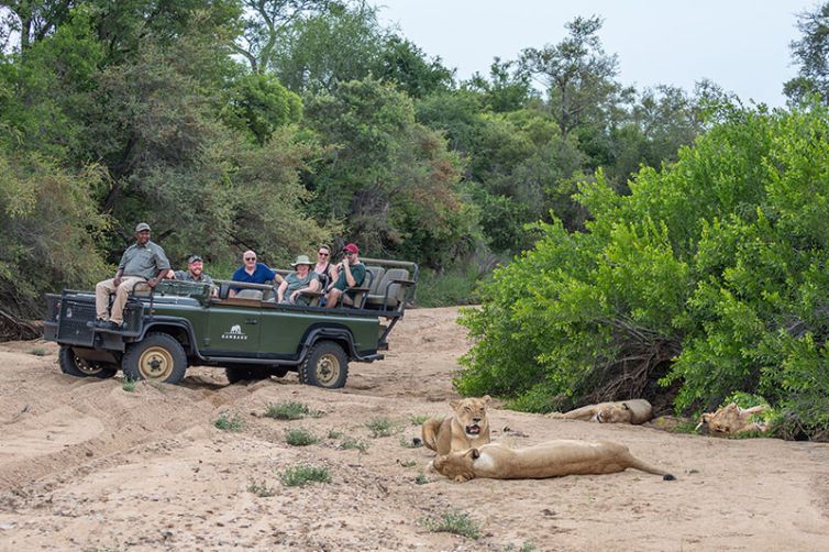 Kambaku Safari Lodge, South Africa Luxury Safari
