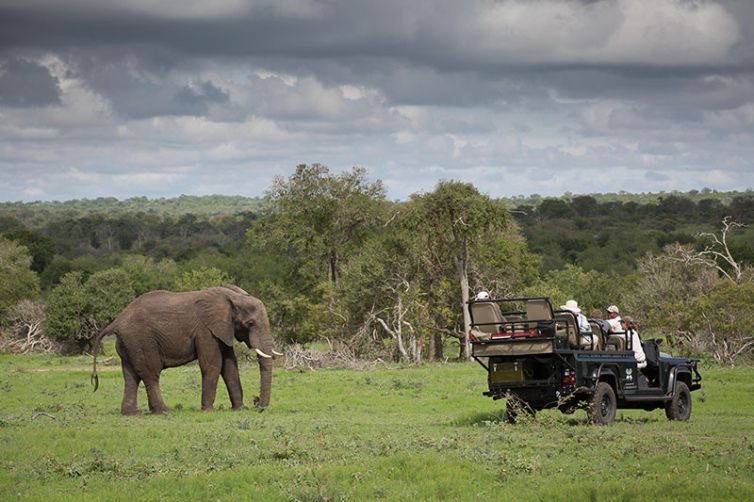 Londolozi Granite Suites, Sabi Sands, South Africa Luxury Safari