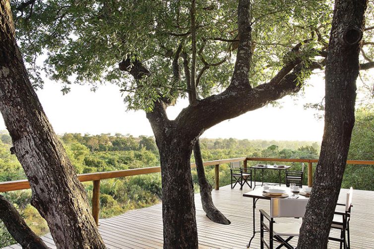Londolozi Tree Camp, Sabi Sands, South Africa Luxury Safari - Central Area