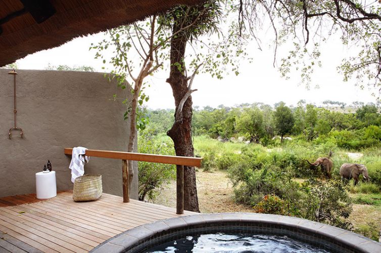 Londolozi Varty Camp, Sabi Sands, South Africa Luxury Safari - Plunge Pool