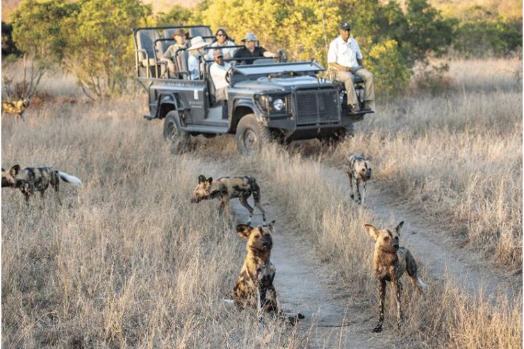 Makanyi Private Game Lodge