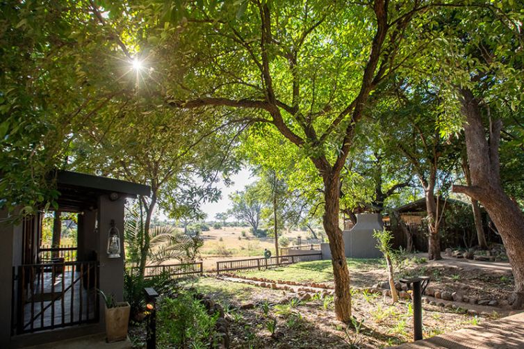 Nottens Bush Camp, Sabi Sands, South Africa Luxury Safari