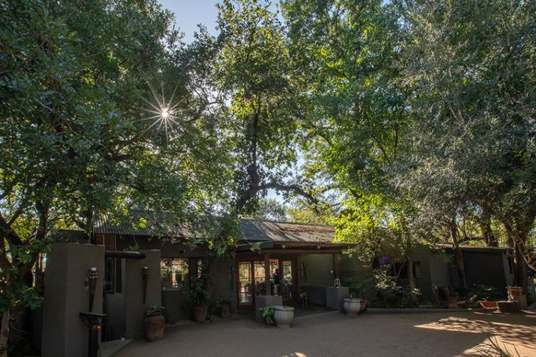 Nottens Bush Camp, Sabi Sands, South Africa Luxury Safari