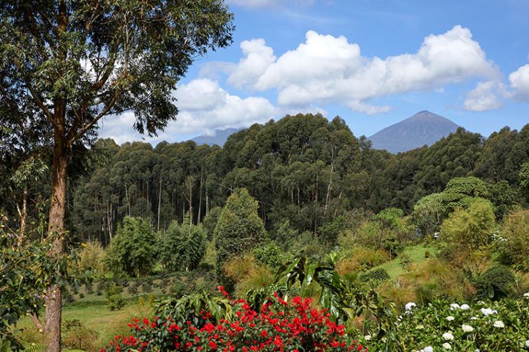 One&Only Gorrlas Nest - Exterior