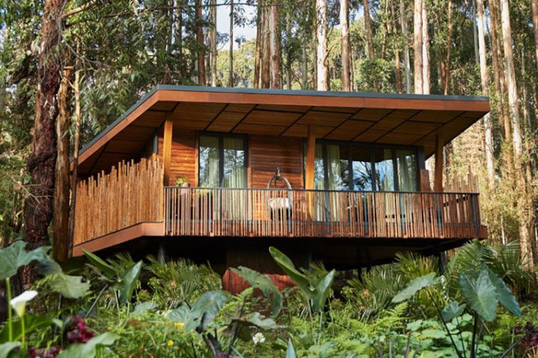 One&Only Gorrlas Nest - Exteriors