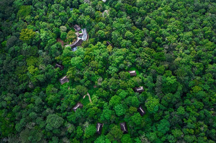 Primate Lodge Kibale