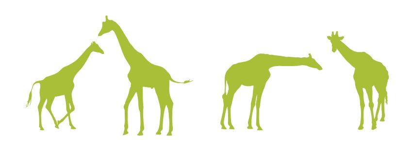 Safari Consultants Giraffe Icons