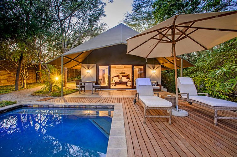 Savanna Lodge, Sabi Sands, South Africa Luxury Safari
