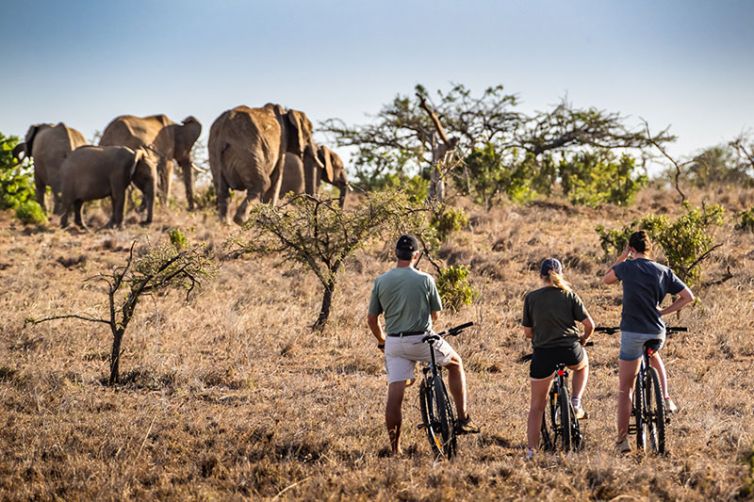 Sosain Lodge - Kenya