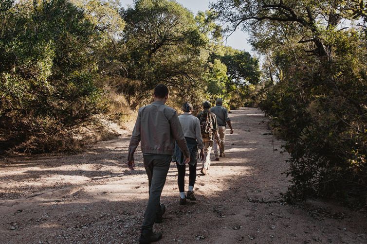 Tanda Tula Safari Camp