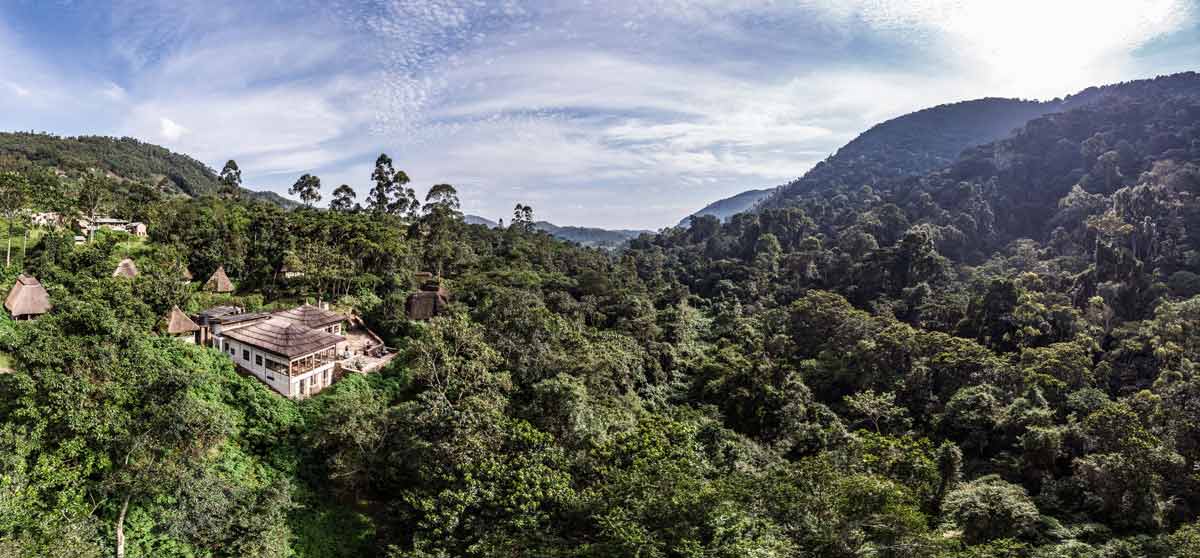 Uganda - Bwindi Lodge