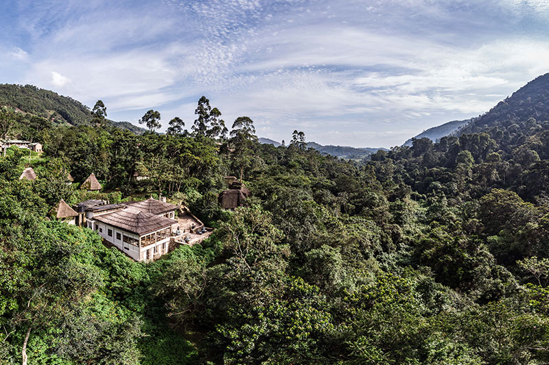 Uganda - Bwindi Lodge