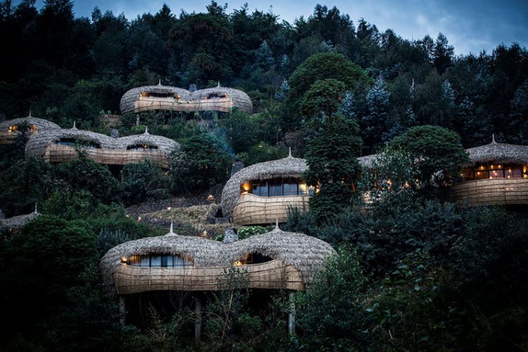 Wilderness Bisate Reserve