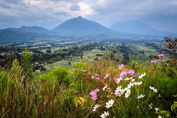 Wilderness Bisate Reserve