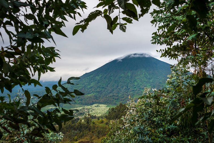 Wilderness Bisate Reserve