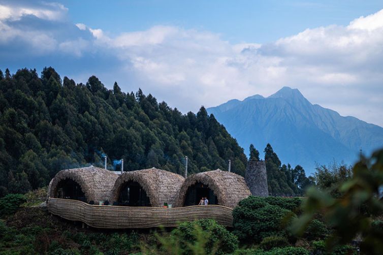 Wilderness Bisate Reserve