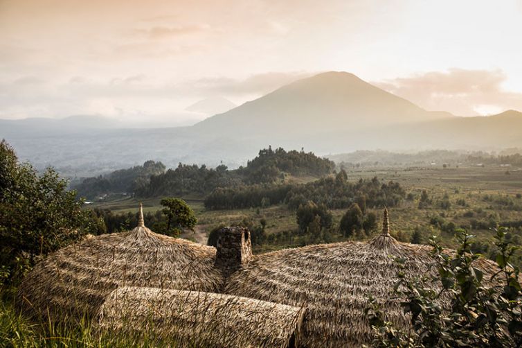 Wilderness Bisate Reserve