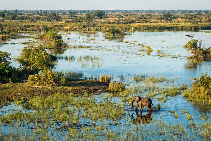 botswana safaris