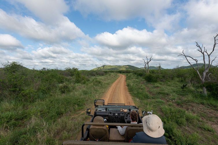 Jaci’s Safari Lodge, South Africa Luxury Safari