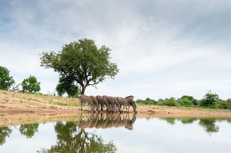 Jaci's - South Africa Safari Accommodation