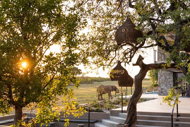 Jamala Madikwe, South Africa Luxury Safari