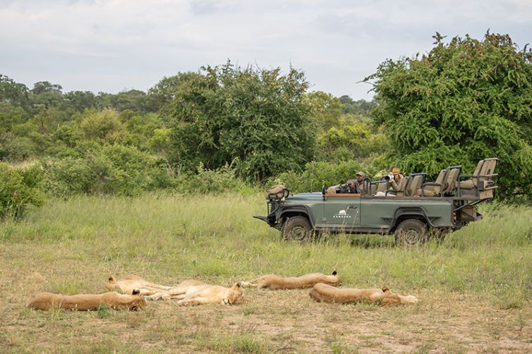 Kambaku River Sands, South Africa Luxury Safari