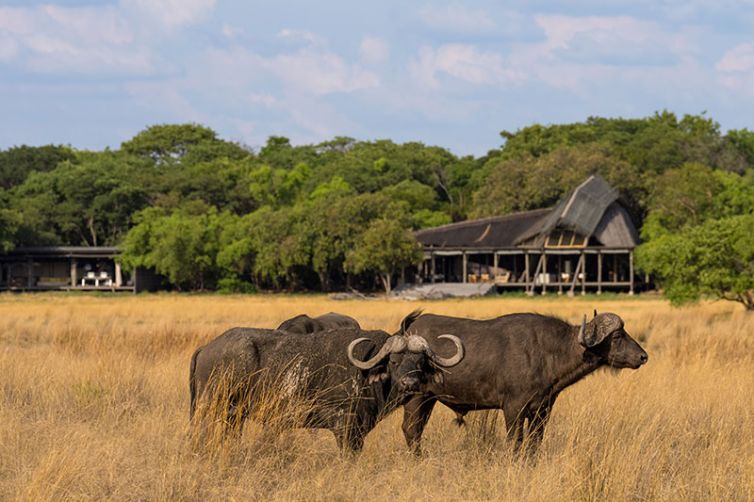 King Lewanika Lodge