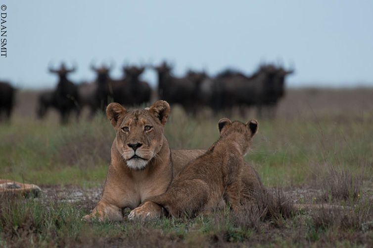 King Lewanika Lodge