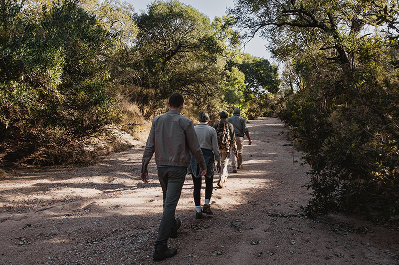 Kruger National Park Sabi Sand And Timbavati 3