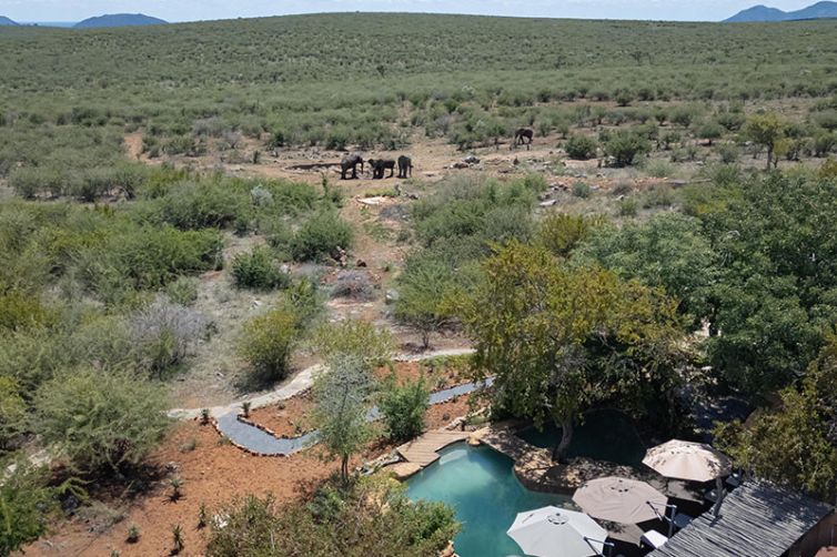 Rhulani Safari Lodge, South Africa Luxury Safari