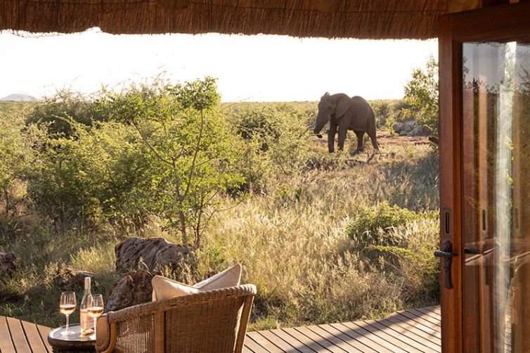 Rhulani Safari Lodge, South Africa Luxury Safari