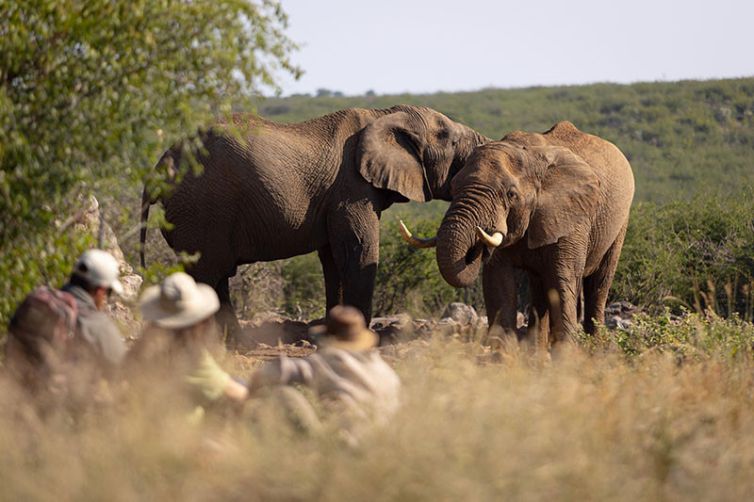 Rhulani Safari Lodge, South Africa Luxury Safari