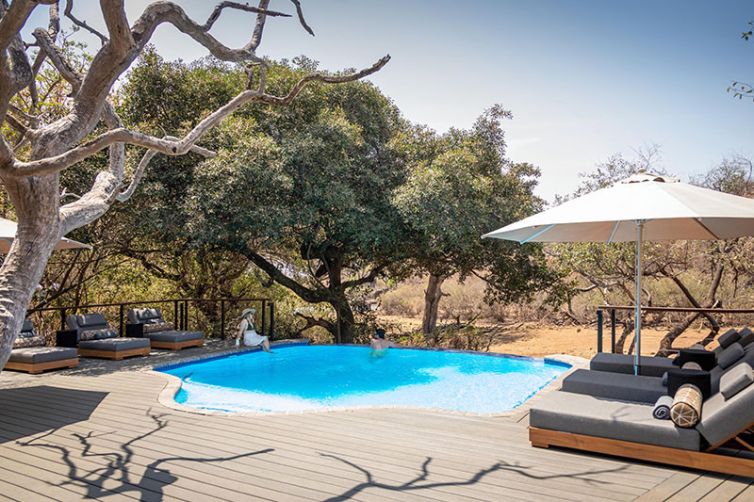 Tuningi Safari Lodge, South Africa Luxury Safari