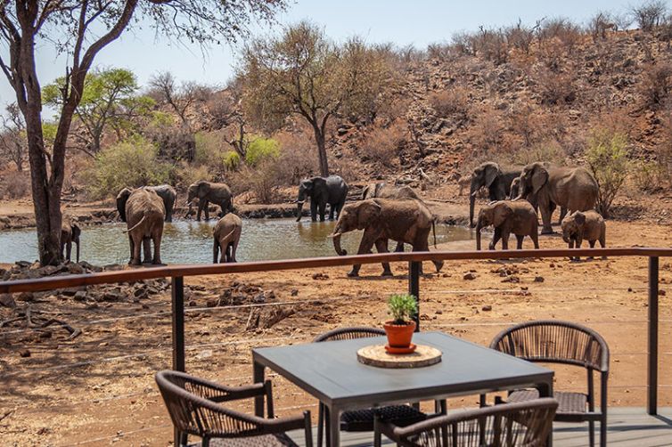 Tuningi Safari Lodge, South Africa Luxury Safari