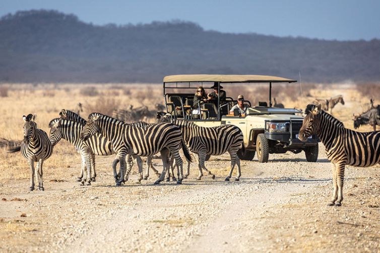 Tuningi Safari Lodge, South Africa Luxury Safari