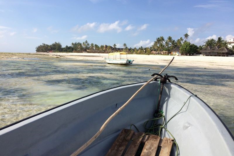 Zanzibar 1