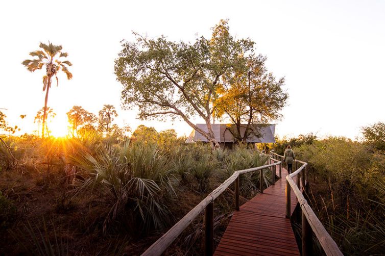 Chitabe - Africa Safari Holiday Specialists