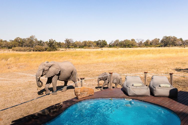 Chitabe - Africa Safari Holiday Specialists