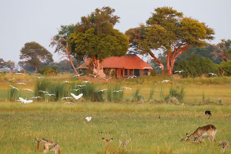 Kanana - Africa Safari Holiday Specialists