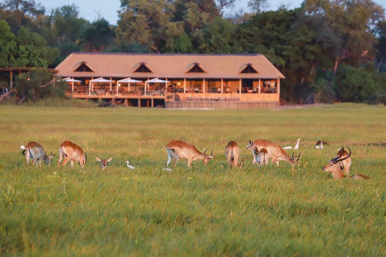 Kanana - Africa Safari Holiday Specialists