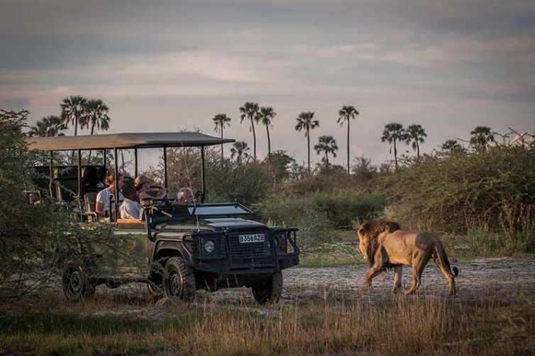 Wilderness Chitabe Camp - Safari Consultants