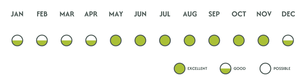 Wildlife Viewing Chart Botswana