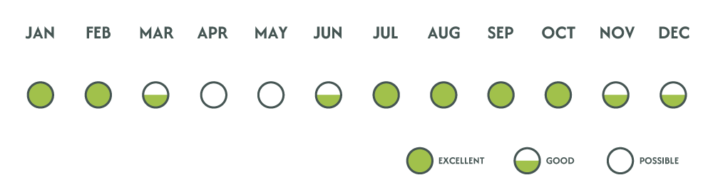Wildlife Viewing Chart Kenya 1