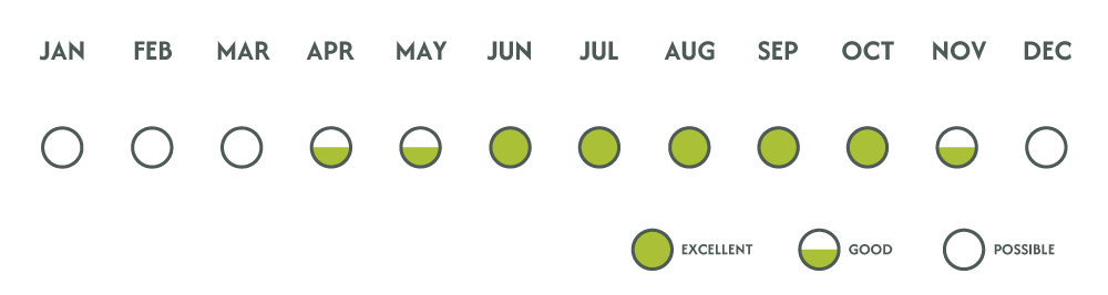 Wildlife Viewing Chart Namibia