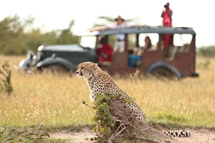 Africa Safari Holiday Specialists, Tailor-Made Safari Trips