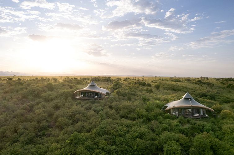 Africa Safari Holiday Specialists, Tailor-Made Safari Trips